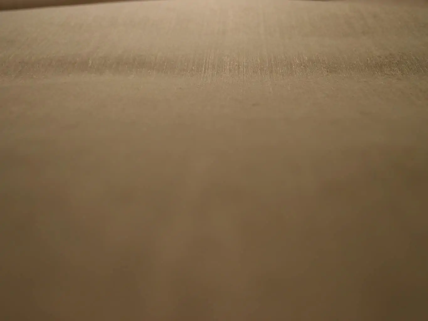 Chemin de table non tissé blanc 0,40x5m 100% compostable